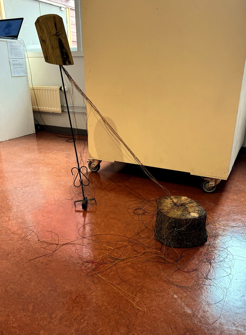 Roots, an installation of separated wood forms reconnected with colored wires