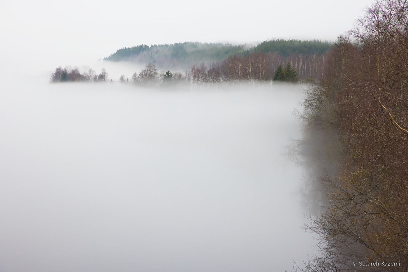 A thick expanse of white mist hiding the water beneath a wooded hillside.
