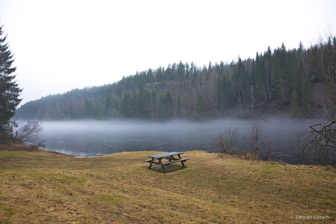A quiet riverside picnic table facing water and forest in light fog.
