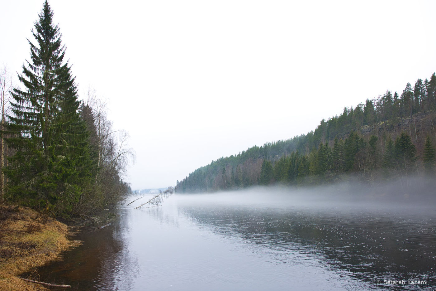 A broad river edged by forest, with low mist floating above its surface.